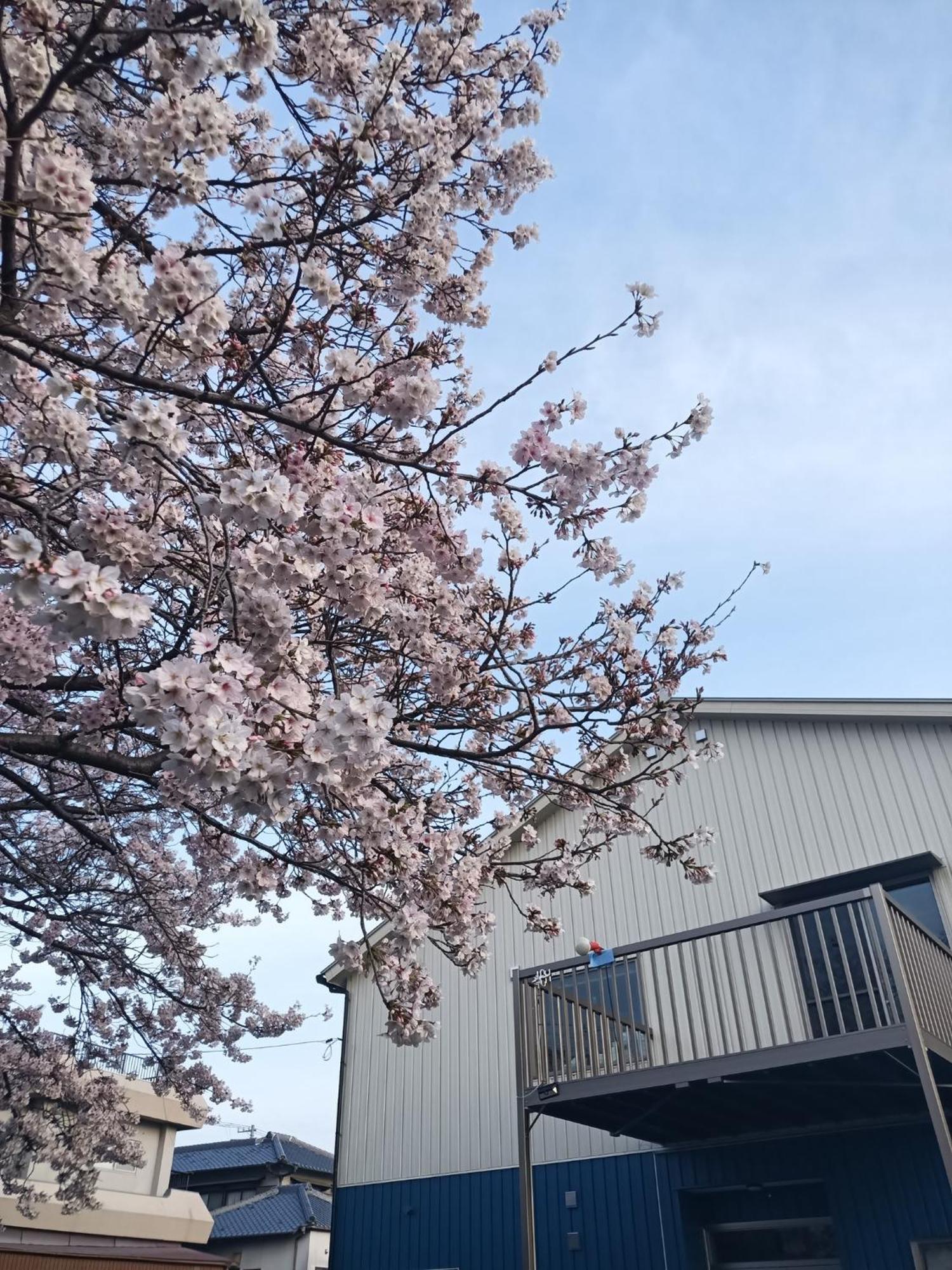 Guest House Ihatov - Vacation Stay 22102V Takamatsu Exterior photo